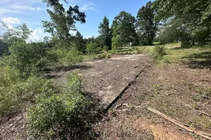 2644 Spies Rd, Robbins, NC 27325 - Photo 11
