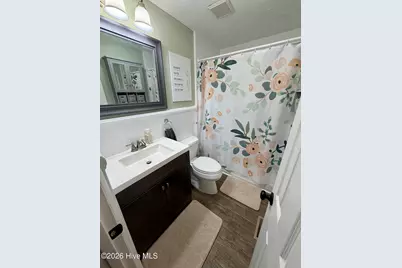 209 Nancy Street, Lake Waccamaw, NC 28450 - Photo 21