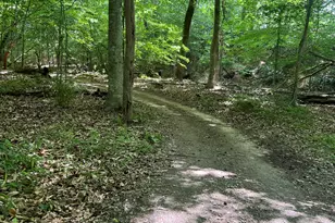 150 Stella Ct, Clayton, NC 27527 - Photo 81