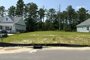 4418 Fantail Dr, Leland, NC 28451 - Photo 1