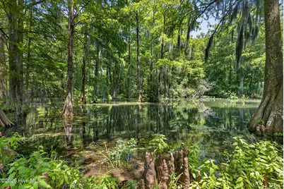 265 Iris Way, Hampstead, NC 28443 - Photo 57