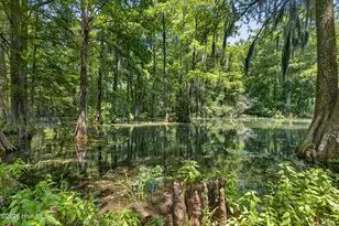 265 Iris Way, Hampstead, NC 28443 - Photo 57