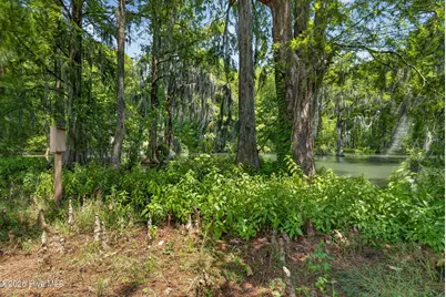 265 Iris Way, Hampstead, NC 28443 - Photo 63