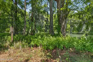 265 Iris Way, Hampstead, NC 28443 - Photo 63