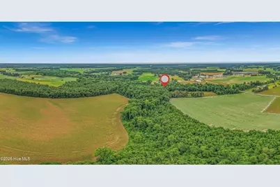 Tbd Nc-403, Mount Olive, NC 28365 - Photo 27