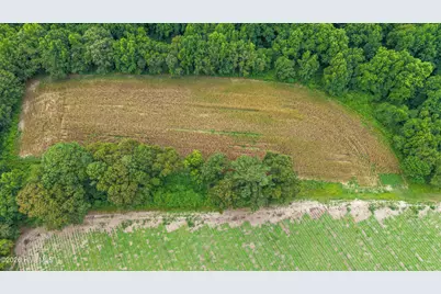 Tbd Nc-403, Mount Olive, NC 28365 - Photo 39
