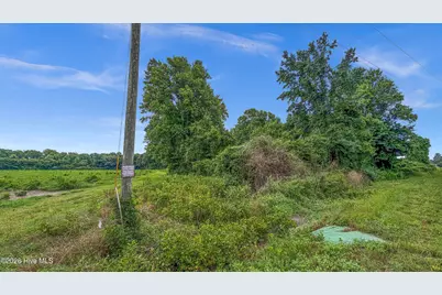 Tbd Nc-403, Mount Olive, NC 28365 - Photo 31