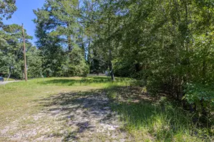 602 E Gertrude St, Fairmont, NC 28340 - Photo 73