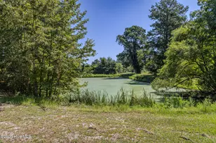 602 E Gertrude St, Fairmont, NC 28340 - Photo 69