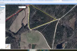 Tbd Eugene Woodward Rd, Mount Croghan, SC 29727 - Photo 1