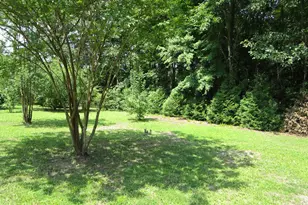 329 Peterson Church Rd, Merry Hill, NC 27957 - Photo 31