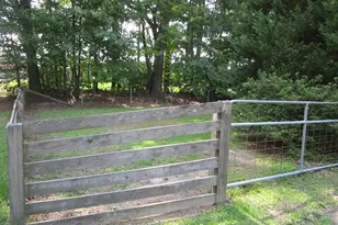 329 Peterson Church Rd, Merry Hill, NC 27957 - Photo 33