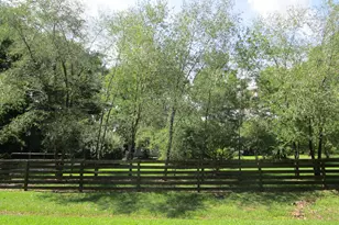 329 Peterson Church Rd, Merry Hill, NC 27957 - Photo 35