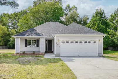 303 Big Tree Lane, Chinquapin, NC 28521 - Photo 1