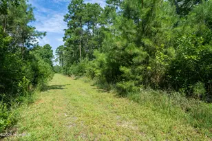 540 Meadow Ln, Burgaw, NC 28425 - Photo 51
