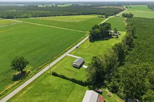 4900 Pleasant Plain Rd, Ayden, NC 28513 - Photo 13