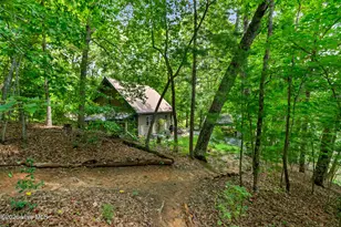 317 W Hills Dr, Murphy, NC 28906 - Photo 59