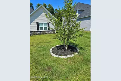 462 Water Wagon Trail, Jacksonville, NC 28546 - Photo 3