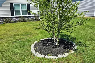 462 Water Wagon Trl, Jacksonville, NC 28546 - Photo 3