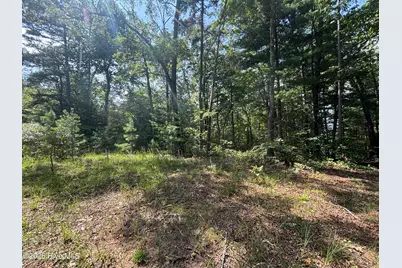5 Majestic Mountain Trail, Murphy, NC 28906 - Photo 3