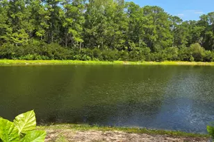 19 Gate 1, Carolina Shores, NC 28467 - Photo 41