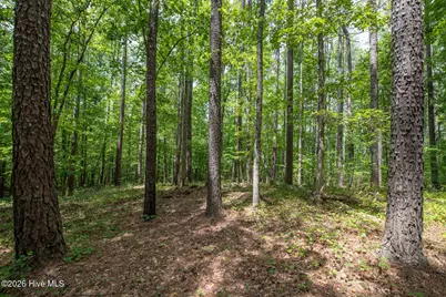 8942 Spearman Road, Reidsville, NC 27320 - Photo 31
