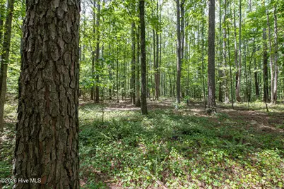8942 Spearman Road, Reidsville, NC 27320 - Photo 23