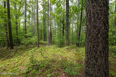 8942 Spearman Road, Reidsville, NC 27320 - Photo 19