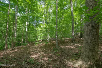 8942 Spearman Road, Reidsville, NC 27320 - Photo 43