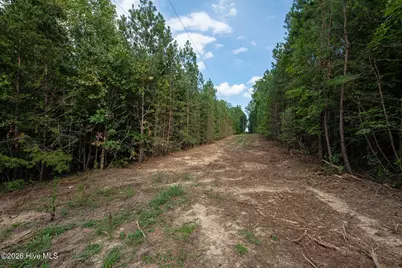 8942 Spearman Road, Reidsville, NC 27320 - Photo 47
