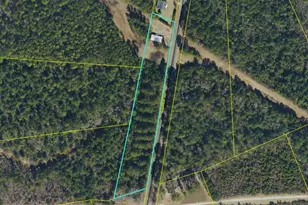 1301 Wright Rd, Bladenboro, NC 28320 - Photo 1