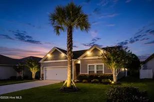 894 Bourne Dr, Ocean Isle Beach, NC 28469 - Photo 59