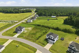 305 Lonesome Dove Ct, Maysville, NC 28555 - Photo 25