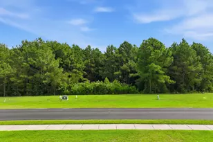 324 Spicer Lake Dr, Holly Ridge, NC 28445 - Photo 1
