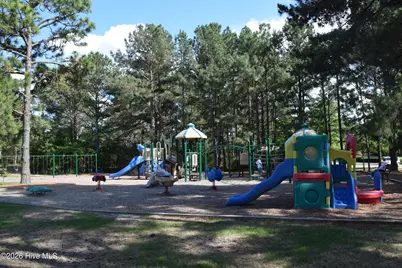 143 Swaringen Drive, Seven Lakes, NC 27376 - Photo 23