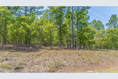 143 Swaringen Drive, Seven Lakes, NC 27376 - Photo 7
