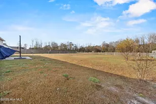 914 Haw Branch Rd, Beulaville, NC 28518 - Photo 39