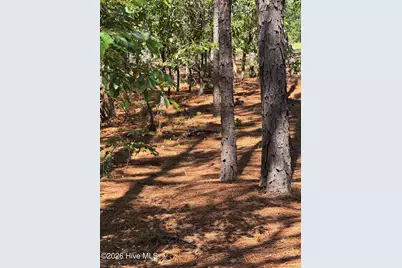 109 Berwick Avenue, Seven Lakes, NC 27376 - Photo 23