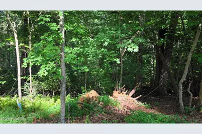 Lot 9 Peachtree Hills Lane, Murphy, NC 28906 - Photo 7
