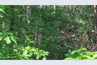 Lot 9 Peachtree Hills Lane, Murphy, NC 28906 - Photo 13