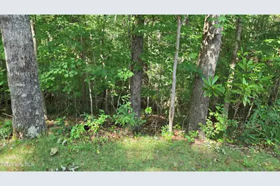Lot 9 Peachtree Hills Lane, Murphy, NC 28906 - Photo 11