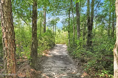 893 Horse Branch Road, Burgaw, NC 28425 - Photo 53