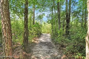 893 Horse Branch Rd, Burgaw, NC 28425 - Photo 53