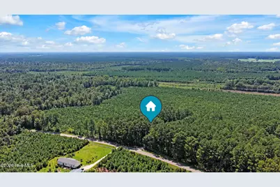 893 Horse Branch Road, Burgaw, NC 28425 - Photo 59