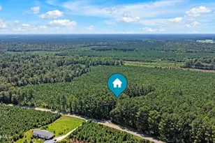 893 Horse Branch Rd, Burgaw, NC 28425 - Photo 59
