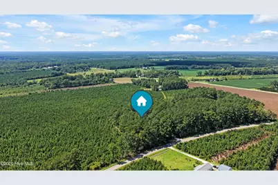 893 Horse Branch Road, Burgaw, NC 28425 - Photo 61