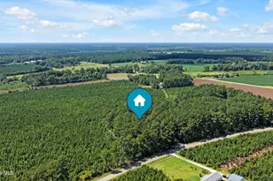893 Horse Branch Rd, Burgaw, NC 28425 - Photo 61