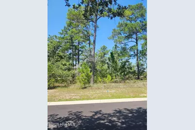 551 Glitter Bay Loop, Shallotte, NC 28470 - Photo 3