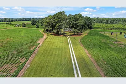 3275 Horse Branch Road, Burgaw, NC 28425 - Photo 3