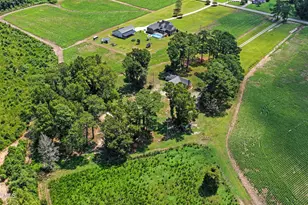 3275 Horse Branch Rd, Burgaw, NC 28425 - Photo 41
